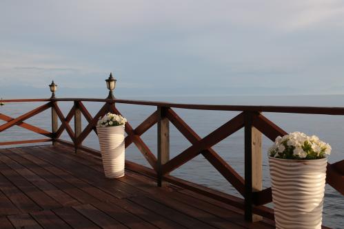 ��� � �������� �� ������