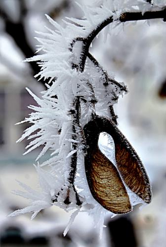 ��� � ����