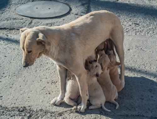 ���-����