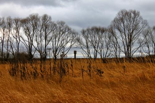 � ����� ����, ����� �������� 