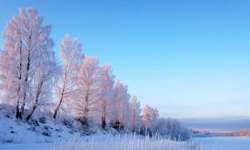 � ���������� �������, ���������� �����.