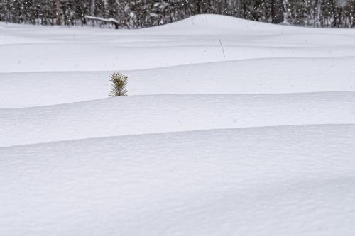 � ������� �����