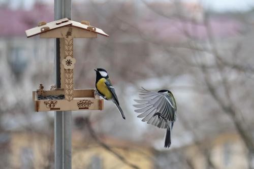 � ��������. 