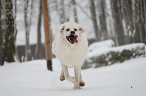 �������������� ����� 