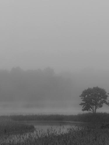 ���������� ��������: ���� �� �����