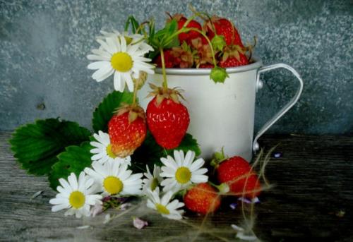 �������� �������