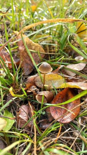 ��������� ����