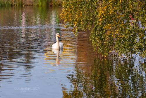 �������� ������