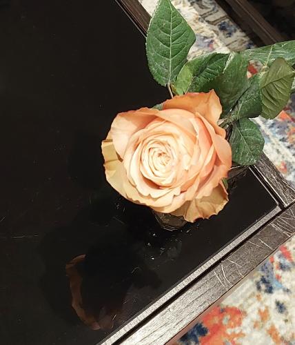 �� ������ 