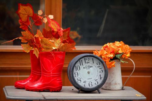 ����������� � ������ ����. 