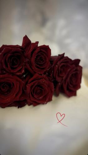 ��� �� �����