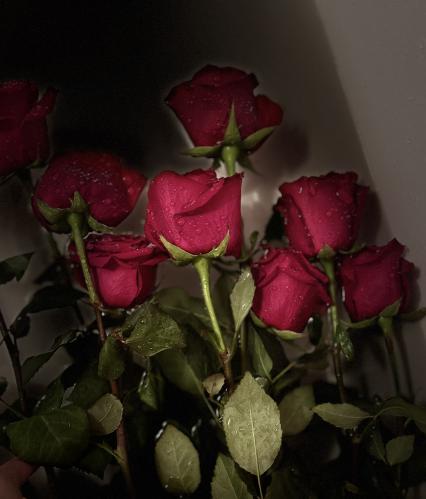 ��� ������� 