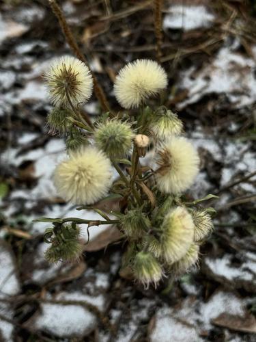 ������ ��������� 