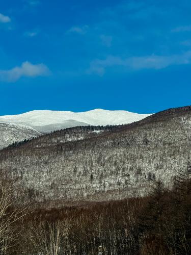 �.�������