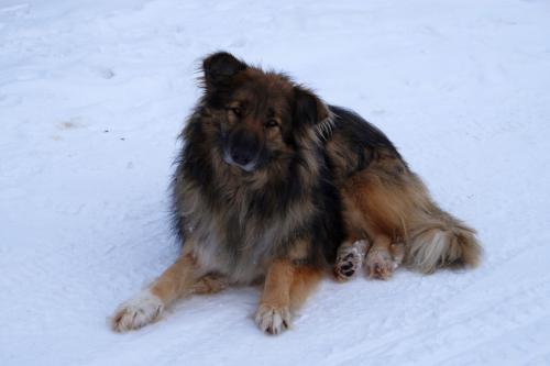 ���������� ...