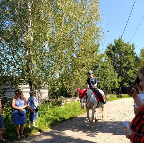 �, �������!