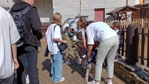 ���� �������