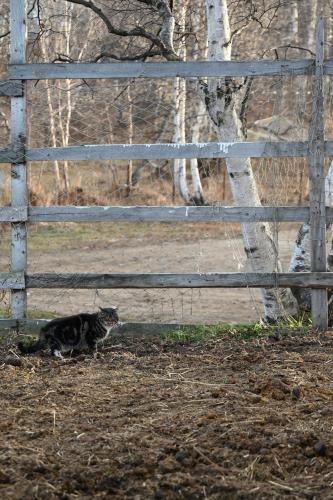 ����� ������