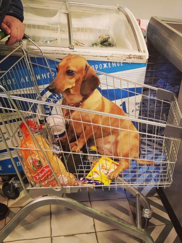 ������� �����