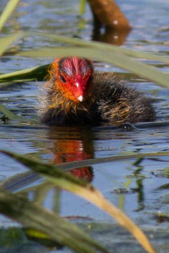 � ����� ���������))