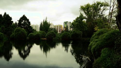 ������ ����