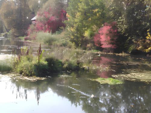 ������� � ����