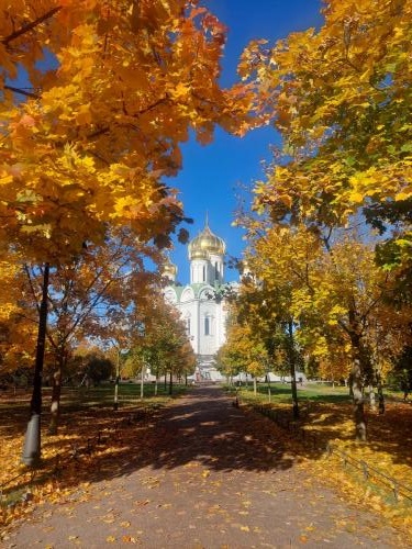 ����� � ������ �������