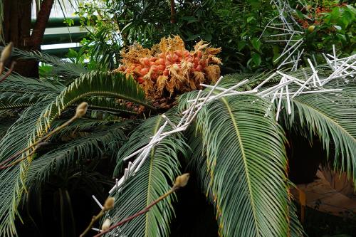 ��������  ���������� .