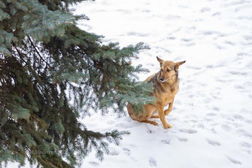 �������� ��� �����