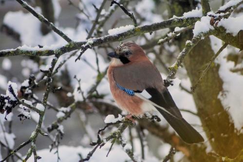 ���������� ��������: ����� - �����