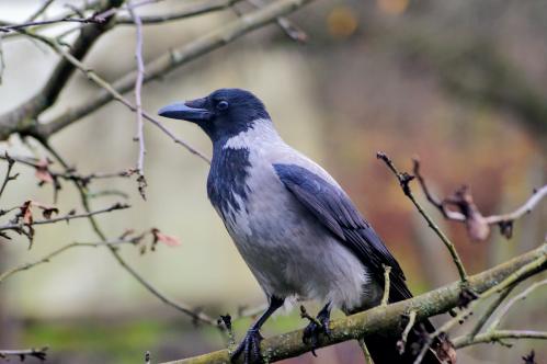 �������!