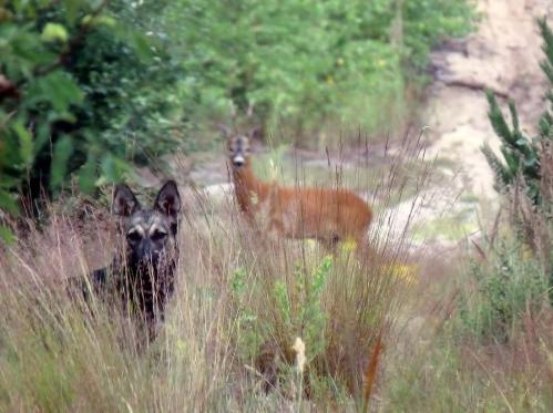 �� �����