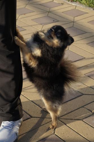 ������ �����