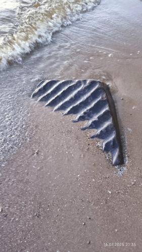 ���� ���� �� �����