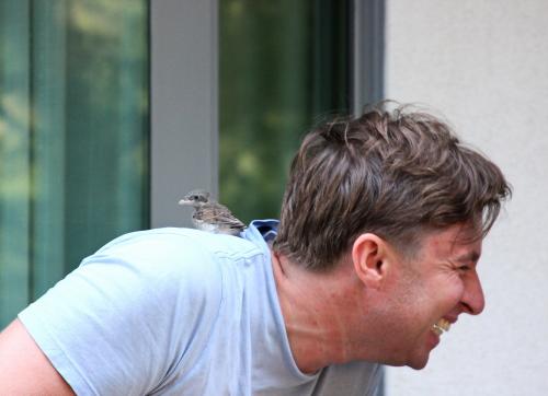  � ��������, ����....