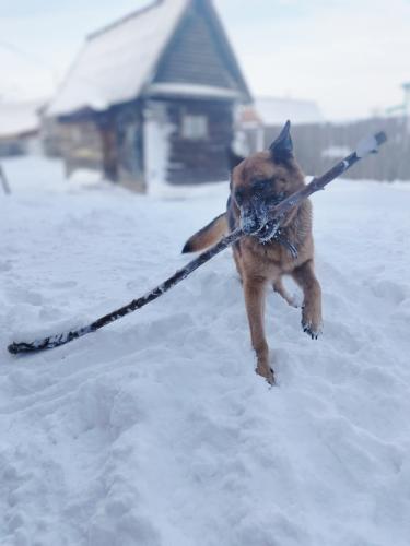 ��������� ������� �� ����������