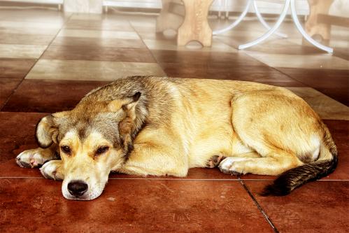 ������� ������... .