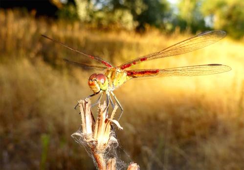 ���������� ��������!