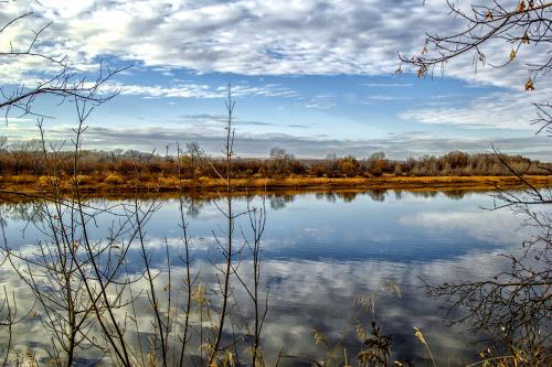 ����� ����� ����.