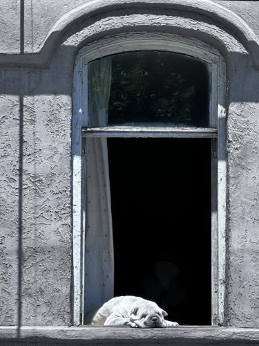 ����� �������!