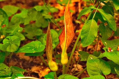 �������� ����������� ������ � ������ 2