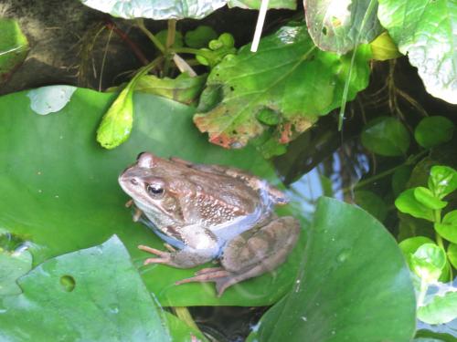 �������-�������