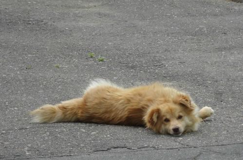 ��� ���?