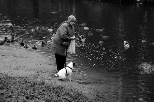 ������ ������ � �����������.