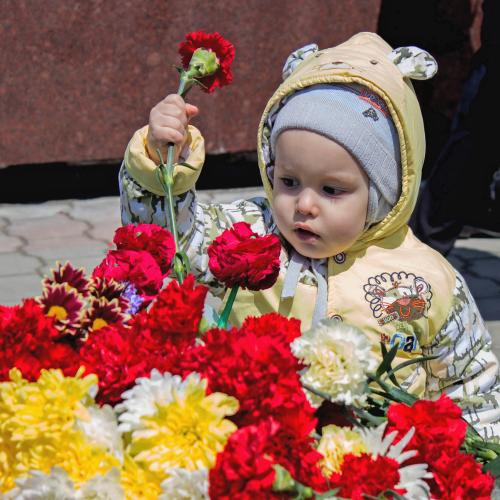 ������� ������ ���������� ��������