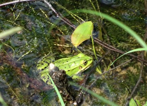 �������