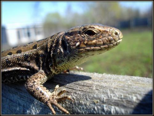 �� ���� �����