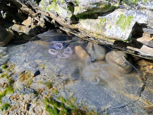 ������� �� ��������