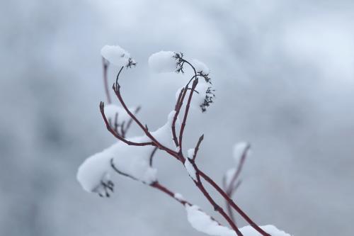 ������ ����. 