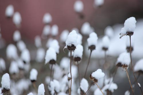 �������. 